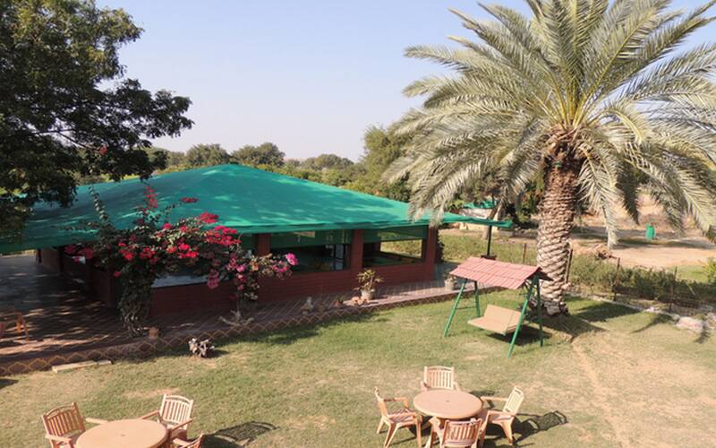 Jamwai Resort, Jaisalmer 1